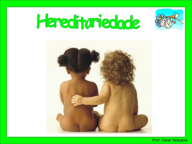 06 - Hereditariedade - Sexo da criança