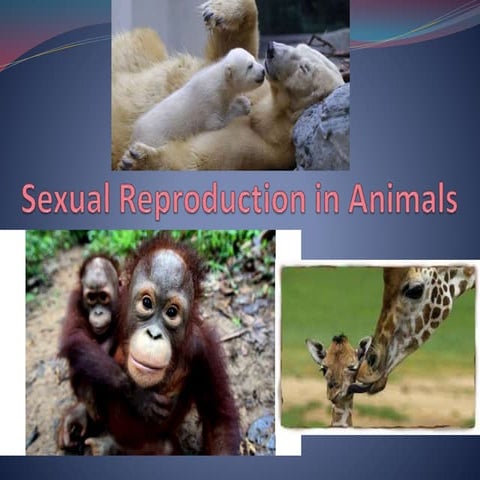 Sexual reproduction