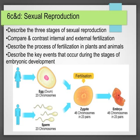 Sexual reproduction