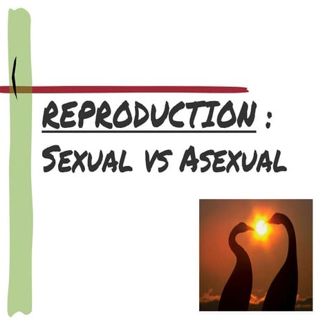 Sexual Reproduction and Meiosis.ppt.pdf