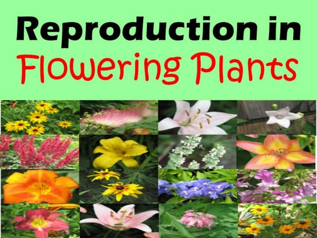 Sexual reproduction in flowering pl...