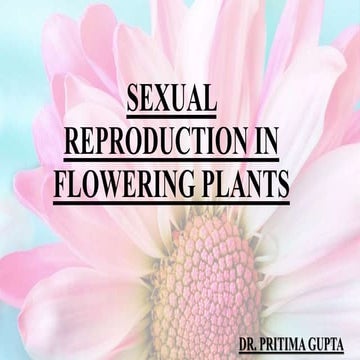 Sexual reproduction in flowering plants