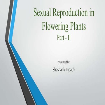 Sexual Reproduction in Flowering Plants (Part II)