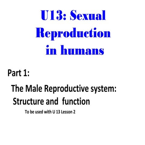 Sexual reproduction in mammals