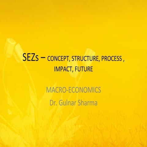 Special Economic Zone