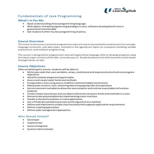 Sf ibf outline fundamentals of java programming | PDF