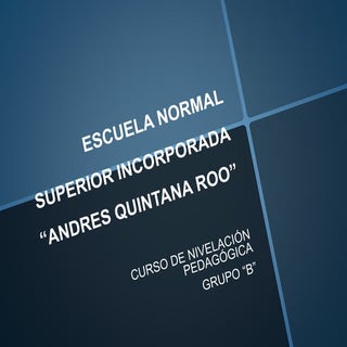 Portafolio Sergio Flores Alarcón, "...