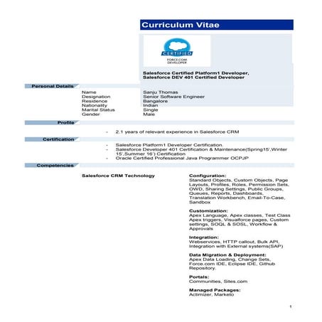 Sfdc sanju cv