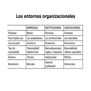 Sfe8   organización.pptx