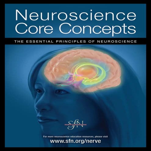 SfN Neuroscience Core Concepts2