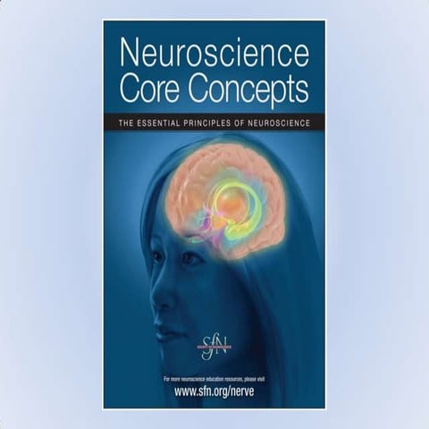 Sf n neuroscience core concepts powerpoint