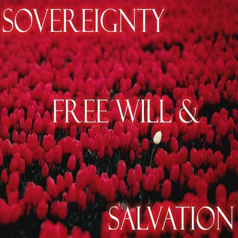 Sovereignty, Free Will, and Salvation - Moral Inability Part 1