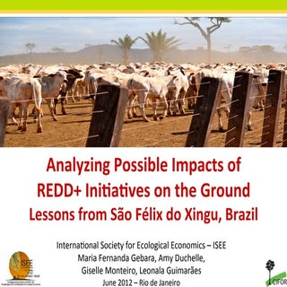 Analyzing possible impacts of REDD+...