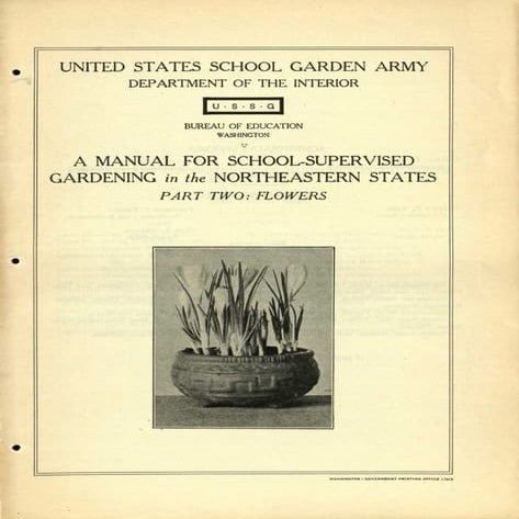 Courses in School Supervised Gardening in the NorthEast, Part 2: Flowers