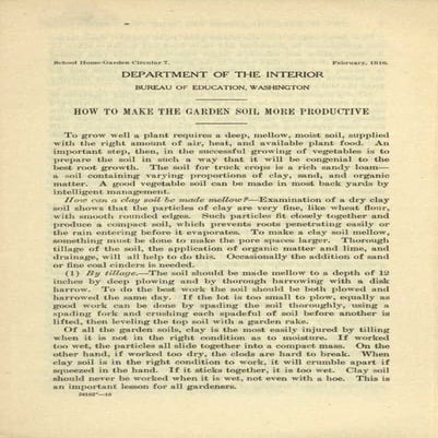 How to Make the School Garden Soil More Productive