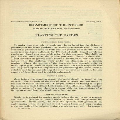 Planting the School Garden