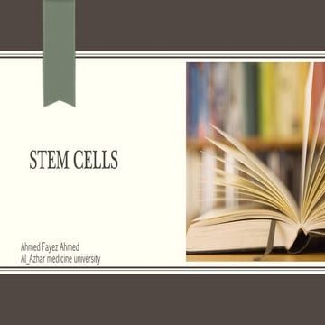 stem cells