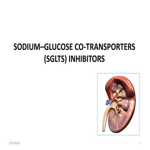 Sodium glucose co transporter( SGLT2) Inhibitors 