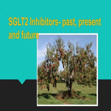 Sglt2 inhibitors past present and future