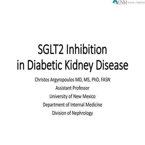 SGLT2 inhibitors in Diabetic Kidney Disease | PPTX