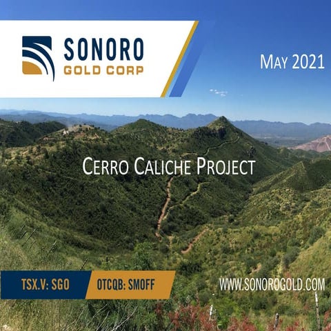 Sonoro Gold Corp - Corporate Presentation - $SGO - May 2021