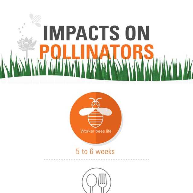 Impacts on Pollinators