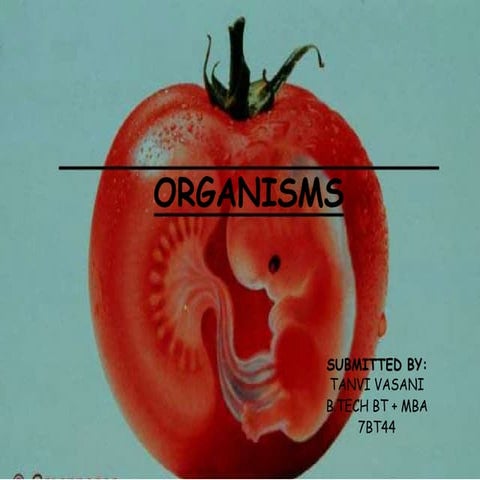 SH02A8~1.PPT powerpoint presentation docxx