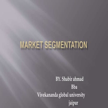 market segmentation