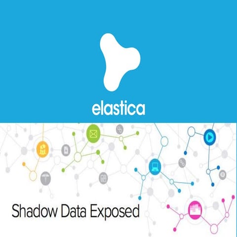 Shadow Data Exposed