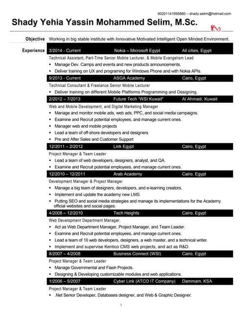 Shady's CV 2014