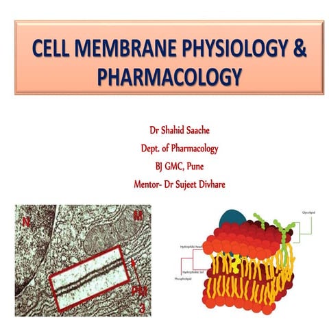 Cell membrane physiology and pharmacology 