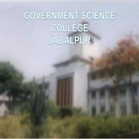 Geology of Assam with lithology , economic importance .