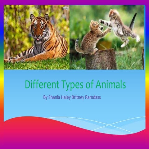 Different types of Animals