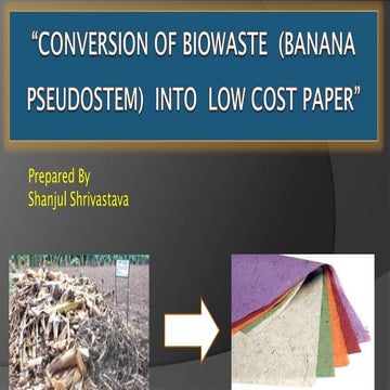 Paper Production from banana pseudostem (biowaste) with lab scale production and economics included