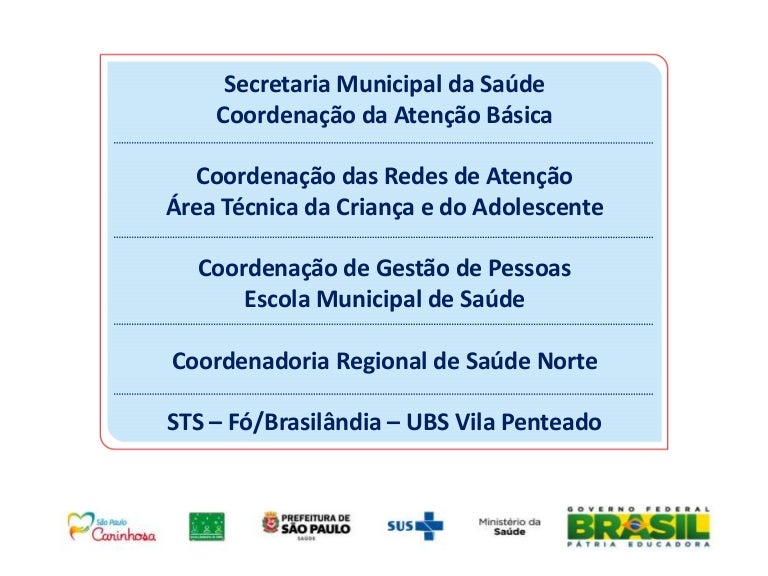 Seminário Desenvolvimento Infantil E Vínculos Familiares - Coordenado…
