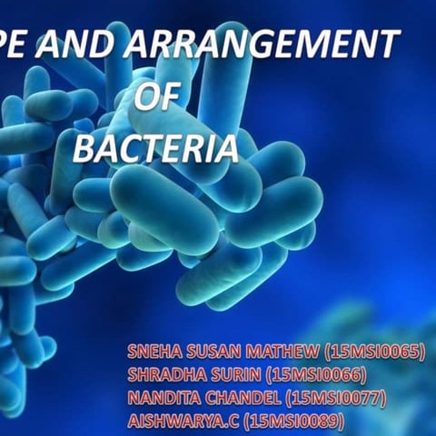 Shapes and arrangements