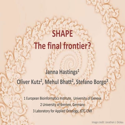 The SHAPES workshop, and Holes in living beings 