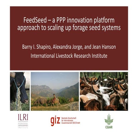 FeedSeed - A PPP innovation platform approach to scaling up forage seed ...