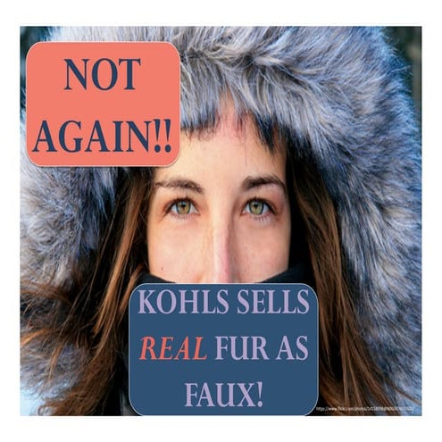 Stephanie Shapiro 4.4 PPP