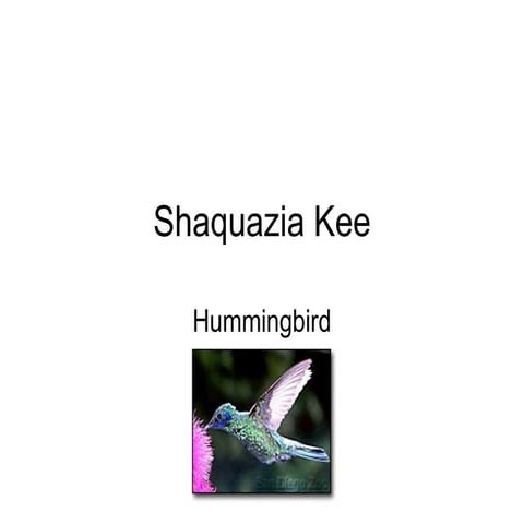 Shaquazia Hummingbird