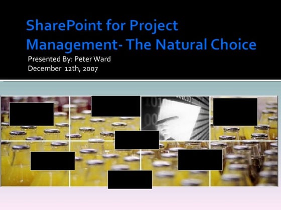 Share Point  Project Management