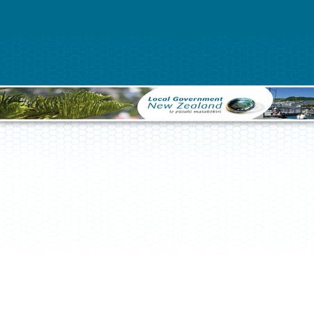 Shared services in New Zealand | PDF