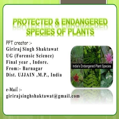 Protected & Endangered species of plant ppt by G.S.Shaktawat | PPTX