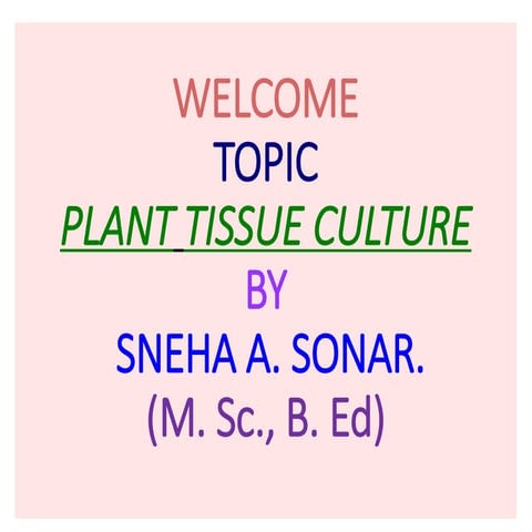 Plant Tissue Culture. 