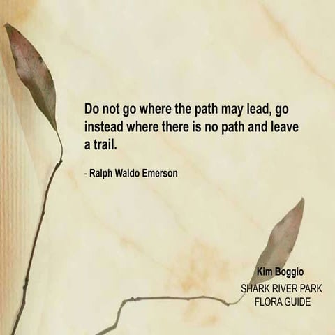 Shark River Park - Plant and Tree guide