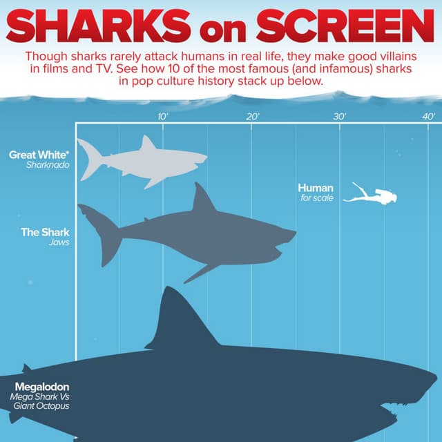 How Do the Most Popular Sharks in Pop Culture Stack Up? PDF