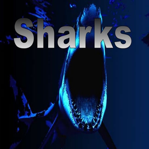 Sharks ppt | PPTX