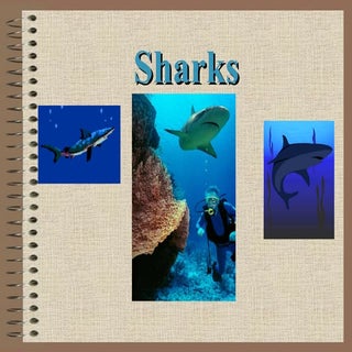 Sharks power point