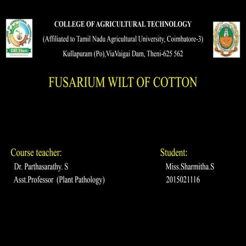 Fusarium Wilt Of Cotton