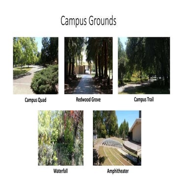 Shasta college grounds | PPTX
